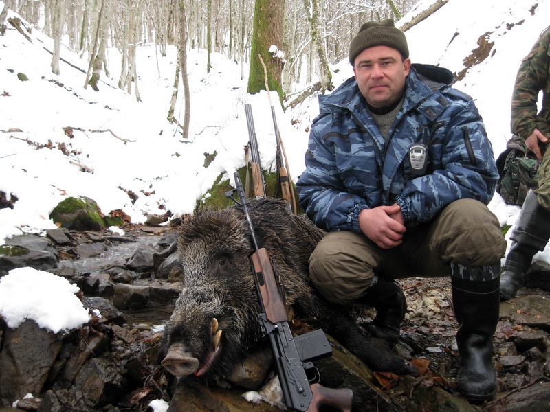 Охота на кабана на Черноморском побережье Северного Кавказа